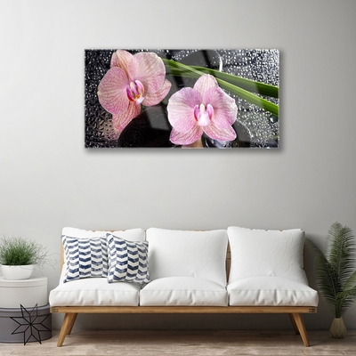 Pintura acrílica Flores Orquídea Orquídea Zen