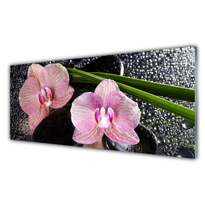 Pintura acrílica Flores Orquídea Orquídea Zen