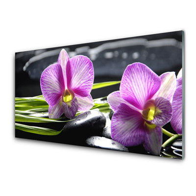 Pintura acrílica Pedras de spa zen orquídea