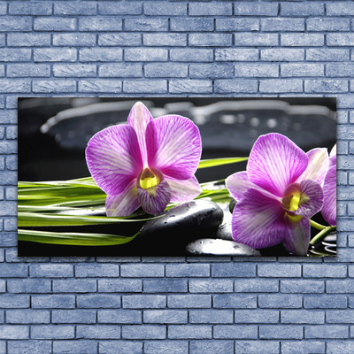 Pintura acrílica Pedras de spa zen orquídea