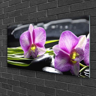 Pintura acrílica Pedras de spa zen orquídea