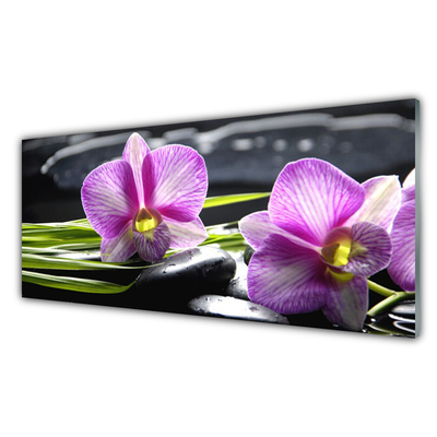 Pintura acrílica Pedras de spa zen orquídea