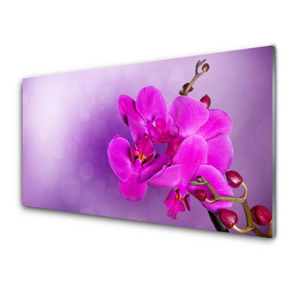 Quadro acrílico Flores Pétalas Orquídea