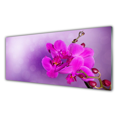 Quadro acrílico Flores Pétalas Orquídea