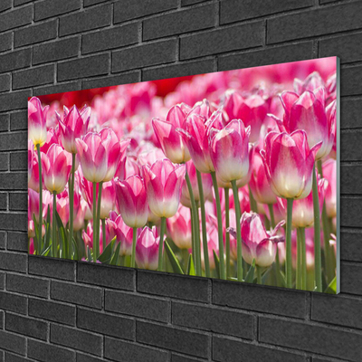 Quadro acrílico Tulipas Flores Natureza