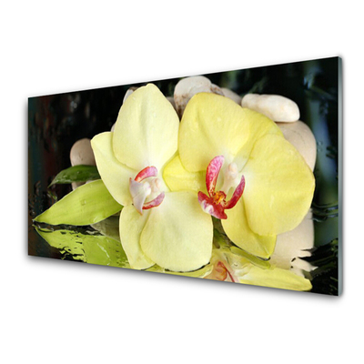Quadro acrílico Pétalas de flores de orquídea