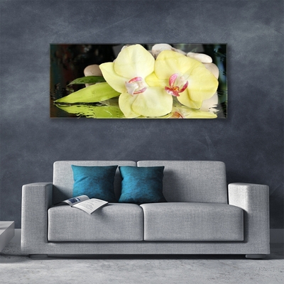 Quadro acrílico Pétalas de flores de orquídea