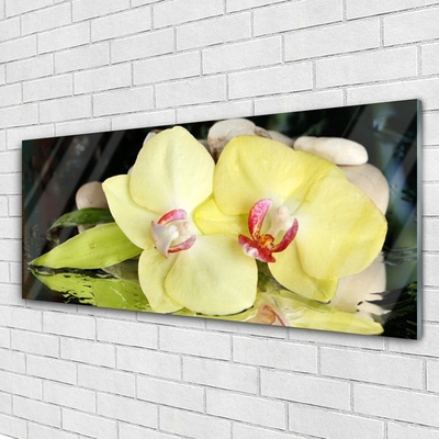 Quadro acrílico Pétalas de flores de orquídea
