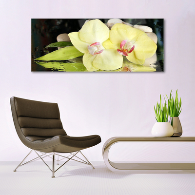Quadro acrílico Pétalas de flores de orquídea