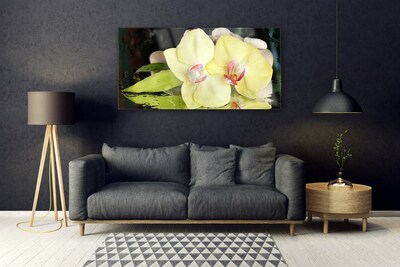 Quadro acrílico Pétalas de flores de orquídea