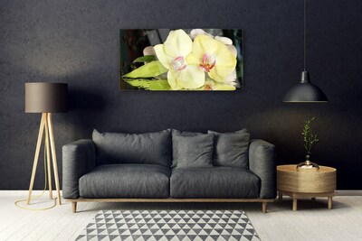 Quadro acrílico Pétalas de flores de orquídea