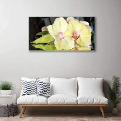 Quadro acrílico Pétalas de flores de orquídea