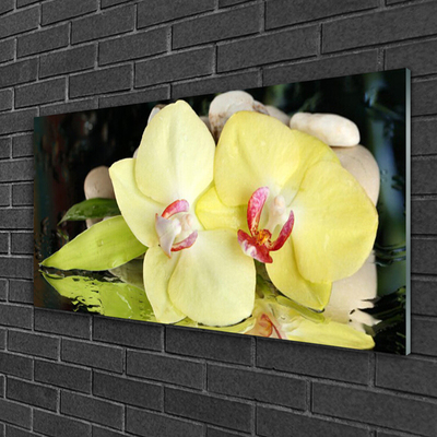 Quadro acrílico Pétalas de flores de orquídea