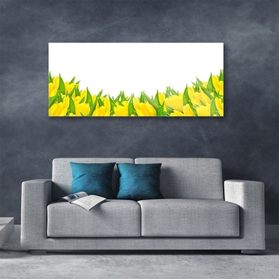 Quadro acrílico Flores Natureza Tulipas