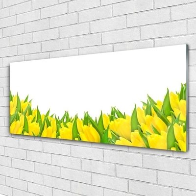 Quadro acrílico Flores Natureza Tulipas