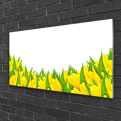 Quadro acrílico Flores Natureza Tulipas