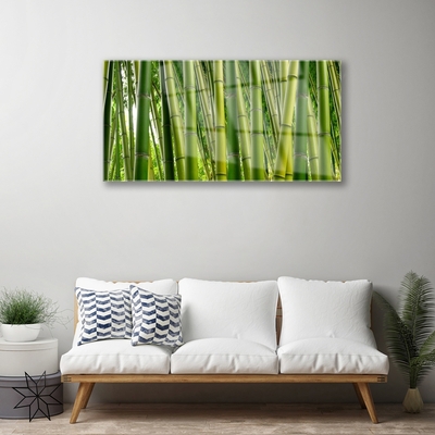 Quadro acrílico Brotos de bambu da floresta de bambu