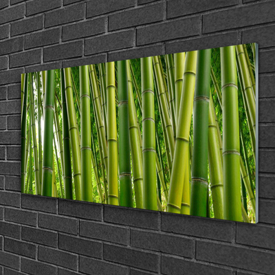 Quadro acrílico Brotos de bambu da floresta de bambu