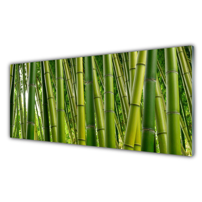Quadro acrílico Brotos de bambu da floresta de bambu