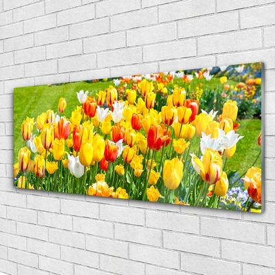 Quadro acrílico Tulipas Flores Natureza