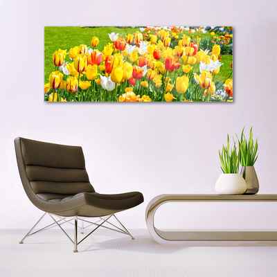 Quadro acrílico Tulipas Flores Natureza