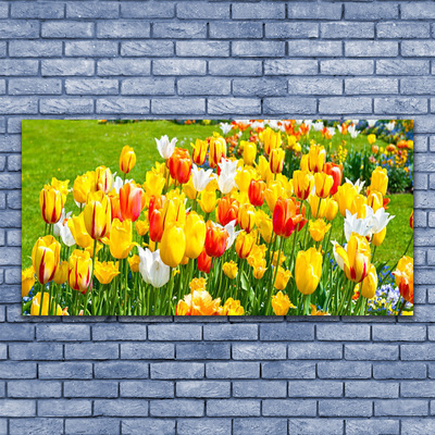 Quadro acrílico Tulipas Flores Natureza