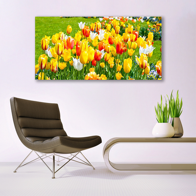 Quadro acrílico Tulipas Flores Natureza