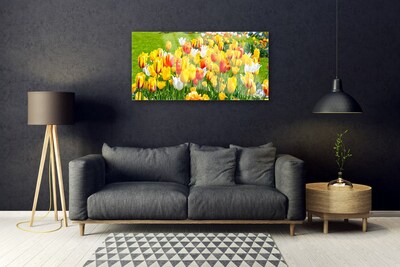 Quadro acrílico Tulipas Flores Natureza