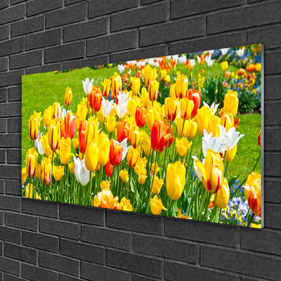Quadro acrílico Tulipas Flores Natureza