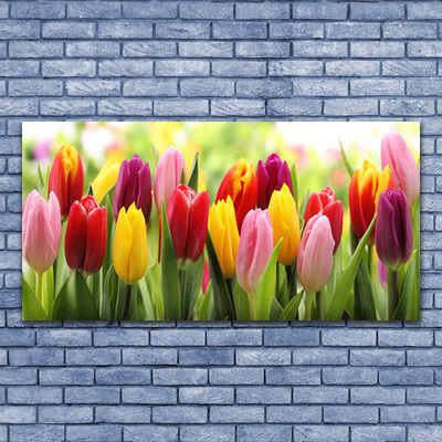 Quadro acrílico Tulipas Flores Natureza