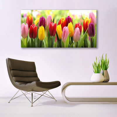 Quadro acrílico Tulipas Flores Natureza