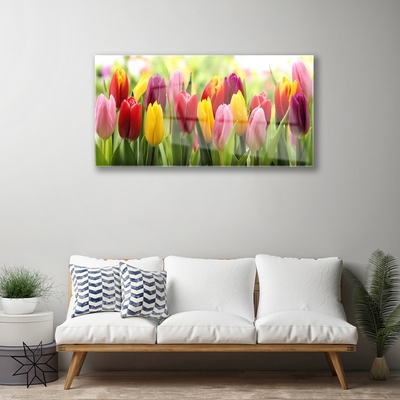 Quadro acrílico Tulipas Flores Natureza