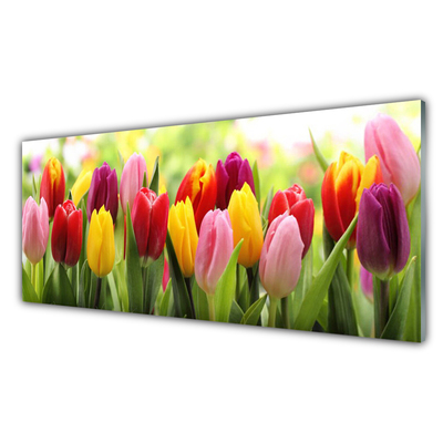 Quadro acrílico Tulipas Flores Natureza