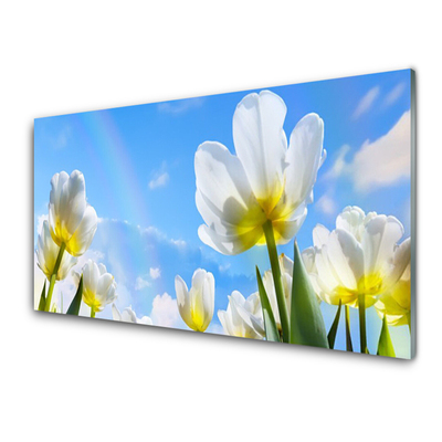 Quadro acrílico Plantas Flores Tulipas