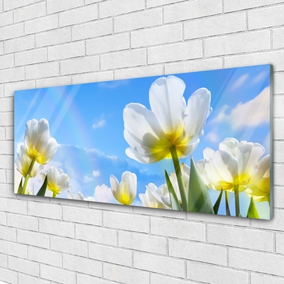 Quadro acrílico Plantas Flores Tulipas