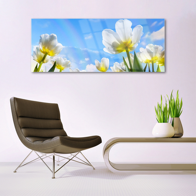 Quadro acrílico Plantas Flores Tulipas