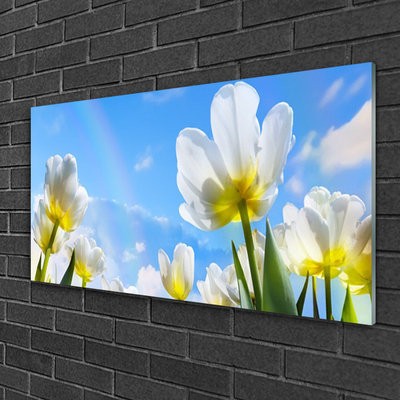 Quadro acrílico Plantas Flores Tulipas