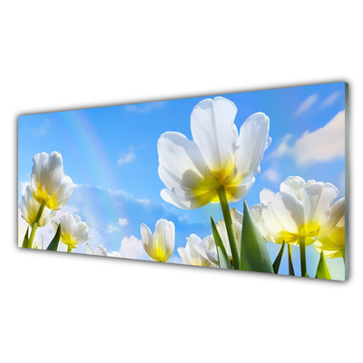 Quadro acrílico Plantas Flores Tulipas