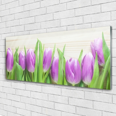 Quadro acrílico Tulipas Flores Natureza