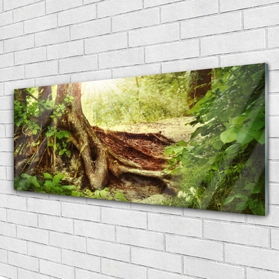 Quadro acrílico Tronco de árvore Natureza Floresta