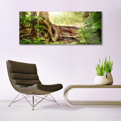 Quadro acrílico Tronco de árvore Natureza Floresta