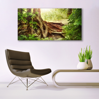 Quadro acrílico Tronco de árvore Natureza Floresta