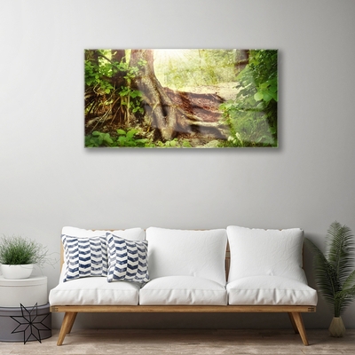 Quadro acrílico Tronco de árvore Natureza Floresta