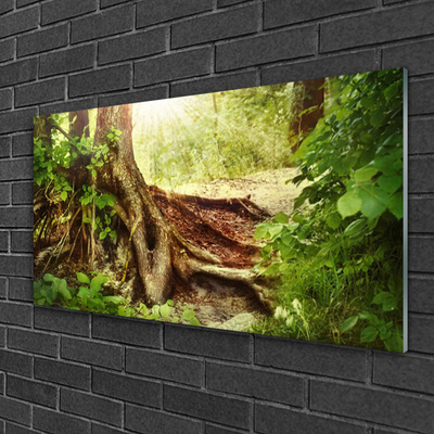 Quadro acrílico Tronco de árvore Natureza Floresta