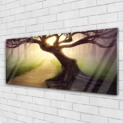 Quadro acrílico Raios de sol da árvore