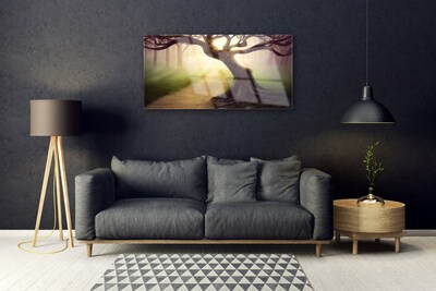 Quadro acrílico Raios de sol da árvore