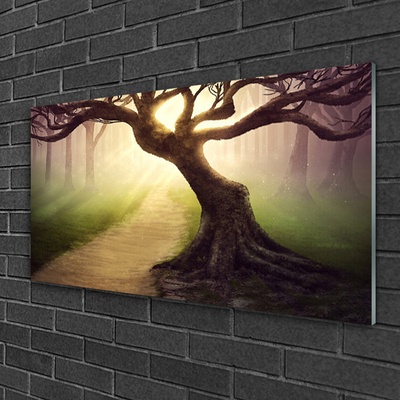 Quadro acrílico Raios de sol da árvore