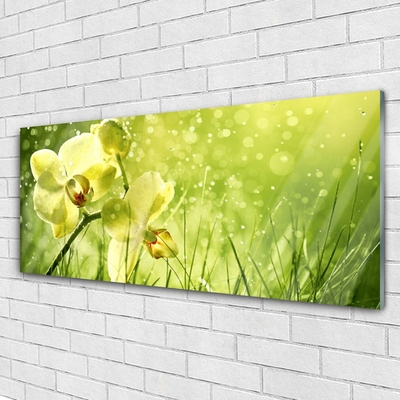 Quadro acrílico Grama Natureza Planta