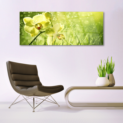 Quadro acrílico Grama Natureza Planta