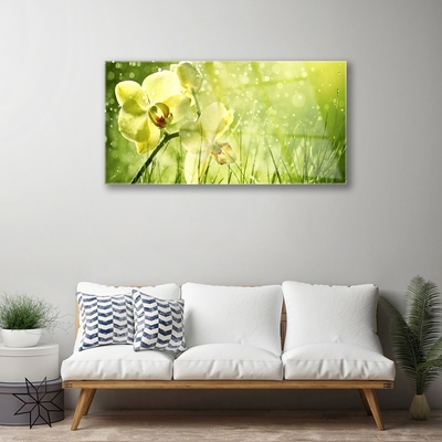 Quadro acrílico Grama Natureza Planta